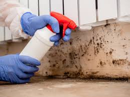 Mold Documentation for Insurance Claims in Salida, CO